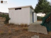 Lithines Kreta Ausgezeichneter Olivenhain in Lithines zu verkaufen Grundstück kaufen